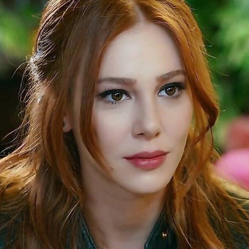 الشين سانجو