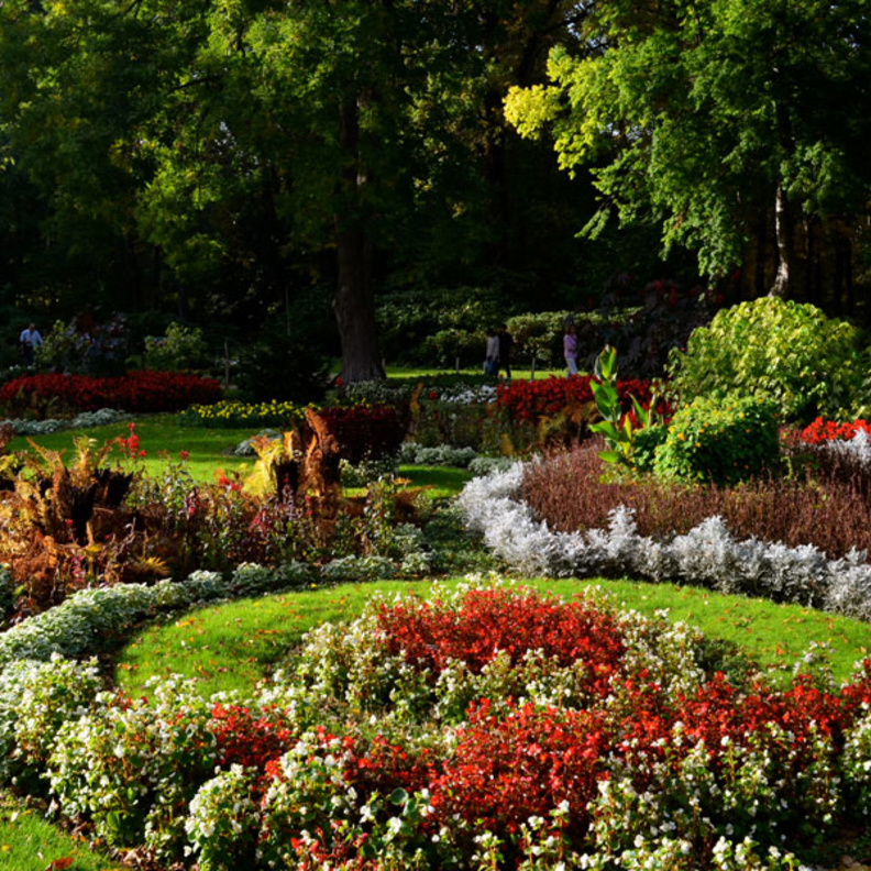 قصر شارلوتنبورغ