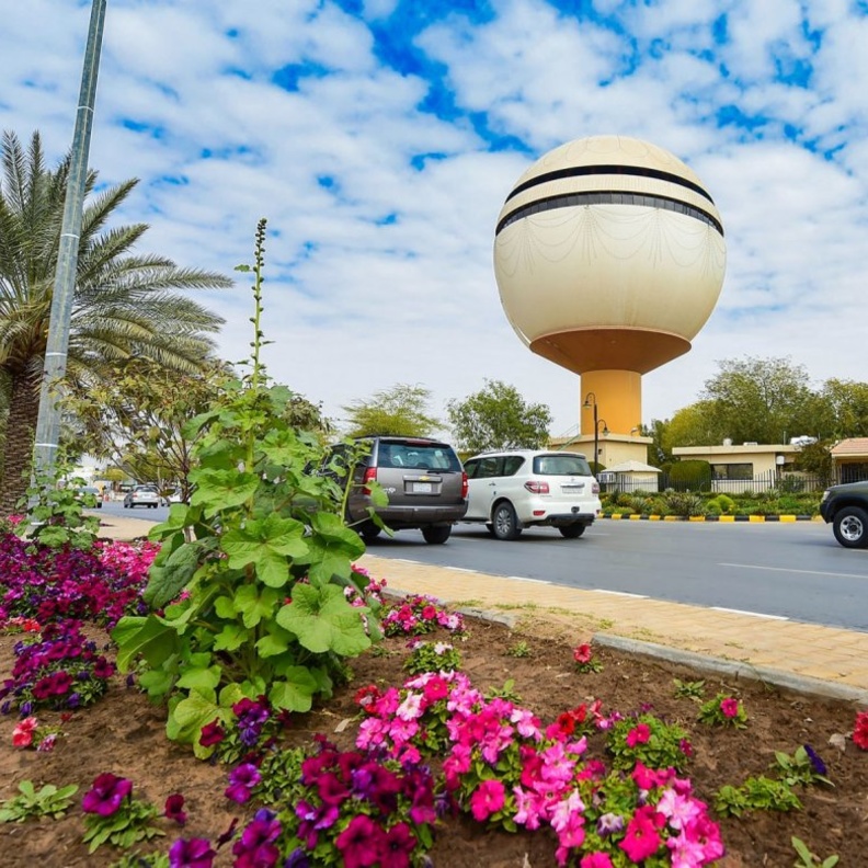 جامعة القصيم 