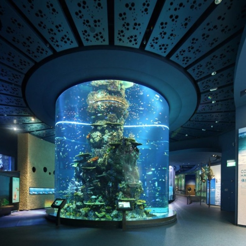 حوض الأكواريوم في مارين لايف بارك