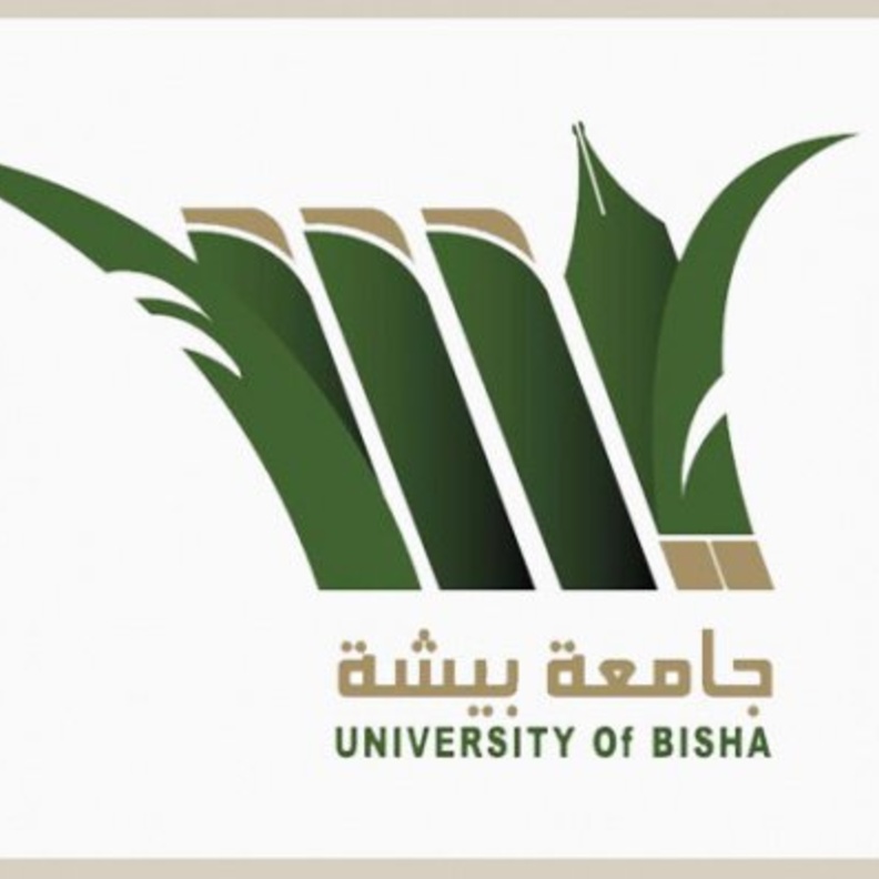 جامعة بيشة 