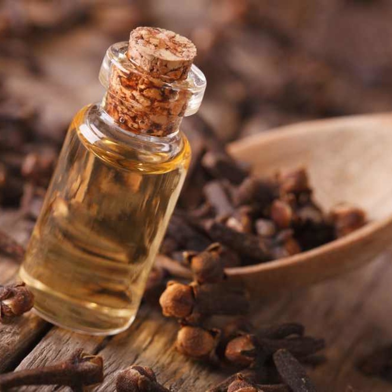 زيت القرنفل يطهر الفم.