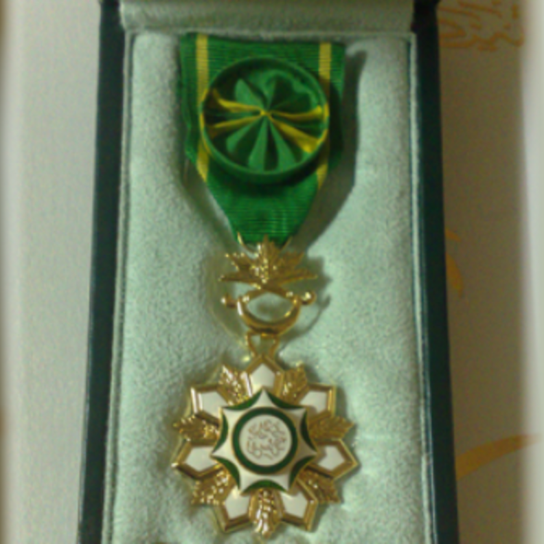 سلمى العنزي تنال وسام الملك عبدالعزيز بسبب مافعلته مع زوجها