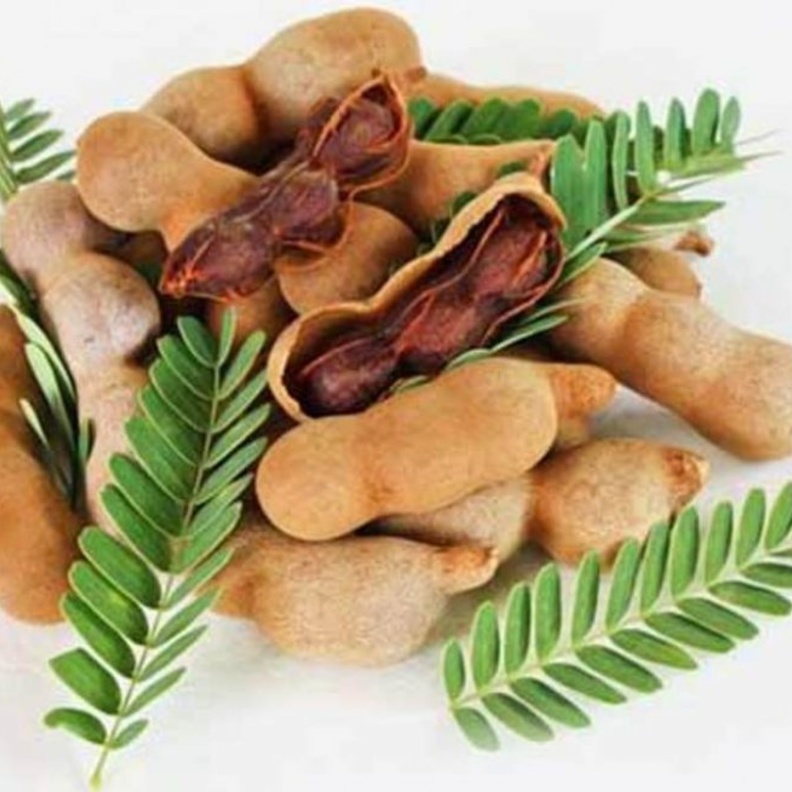 التمر الهندي مفيد لمرضى السكري