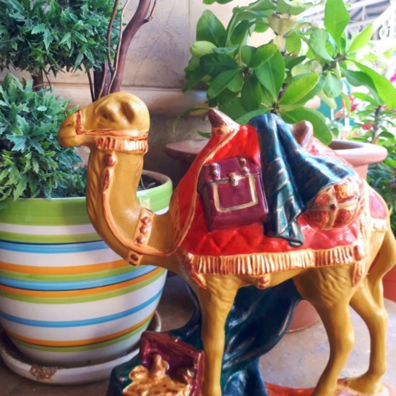 مقابلة مع الفنانة التشكيلية عائشه منقري