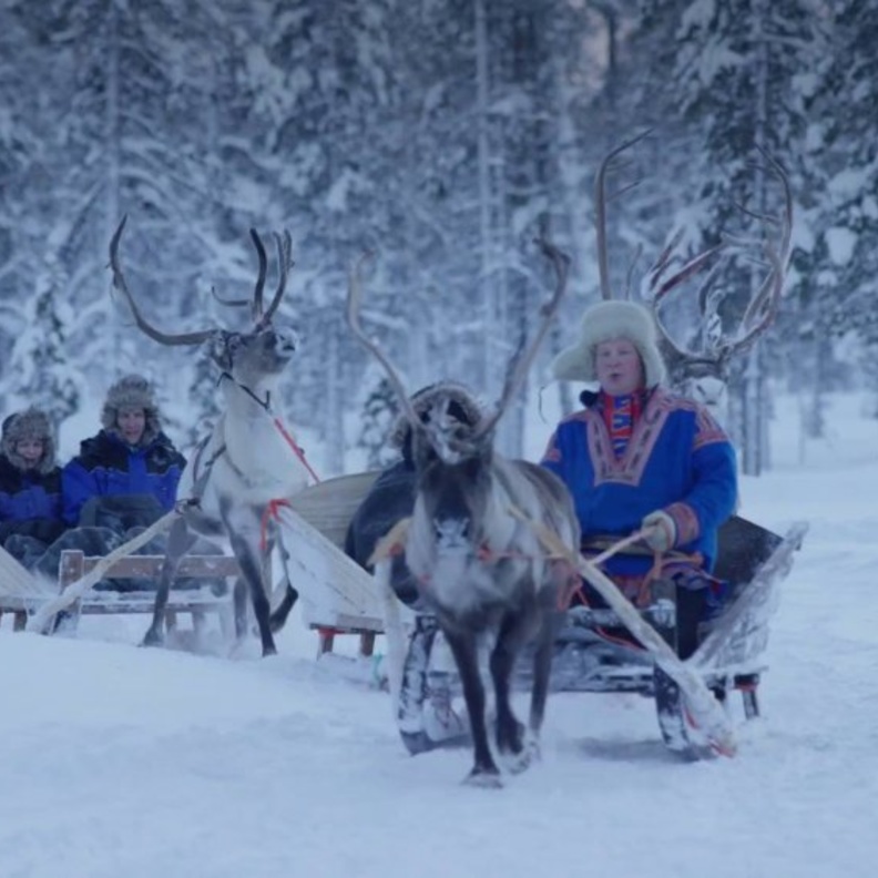 غرة نوم على شكل كبسولة - Treehotel فندق