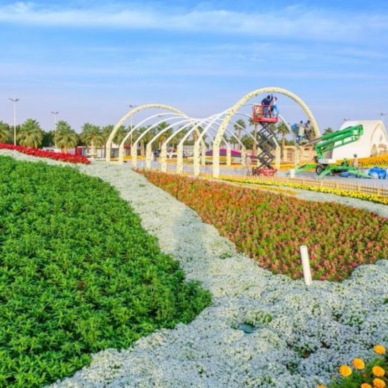 لقطة من الدورة السابقة للمهرجان 