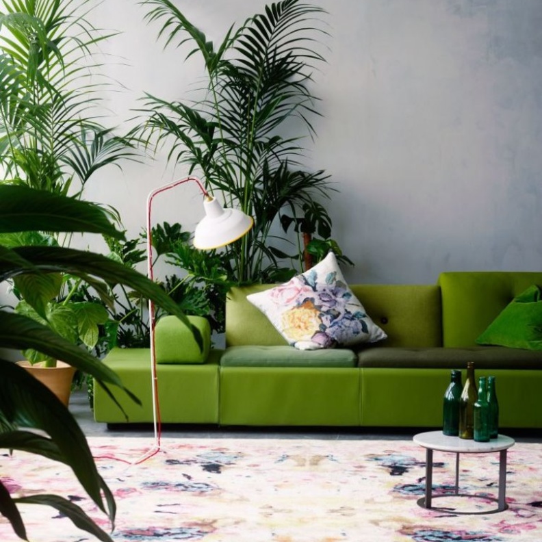 تصاميم متنوعة لأحواض النباتات تزين ديكور غرفة الجلوس