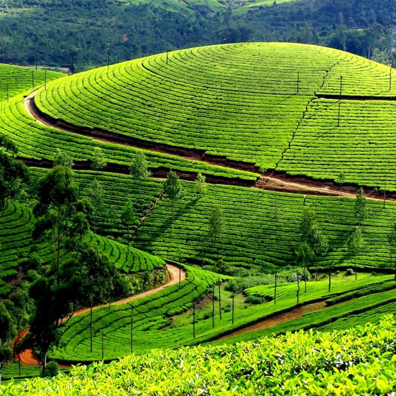 منظر من الطبيعة الرومانسية الساجرة لمدينة كوفالام كيرلا