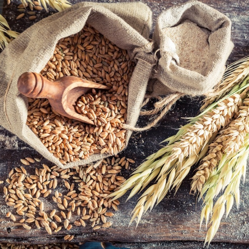 تعد الحبوب الكاملة من افضل الخيارات على وجبة الفطور