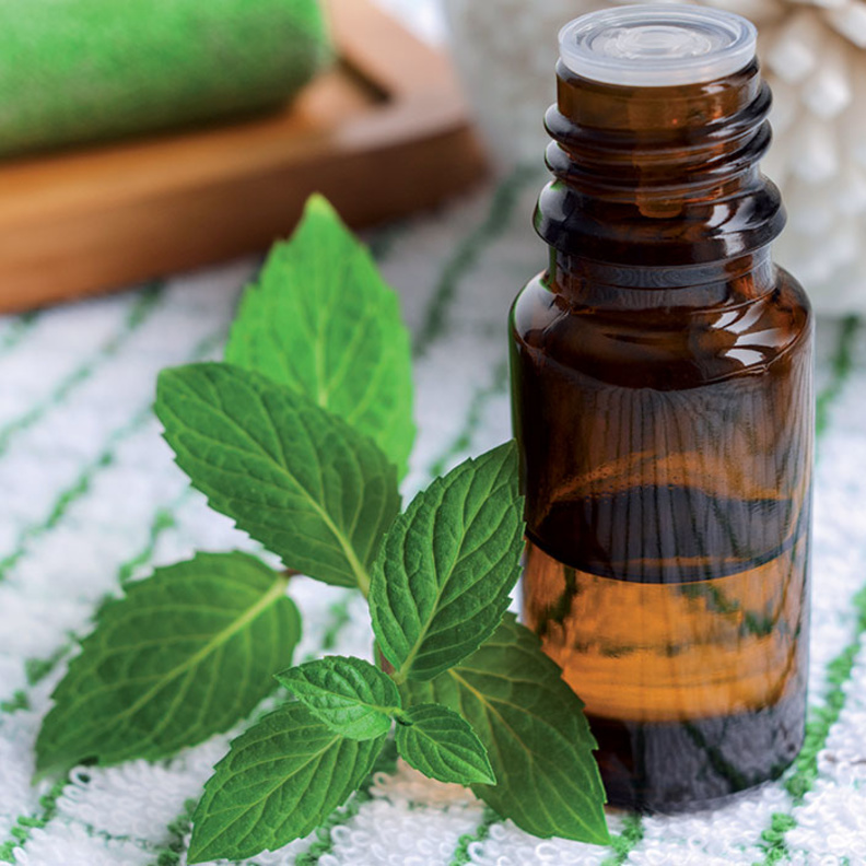 زيت النعناع يسكن الآلام