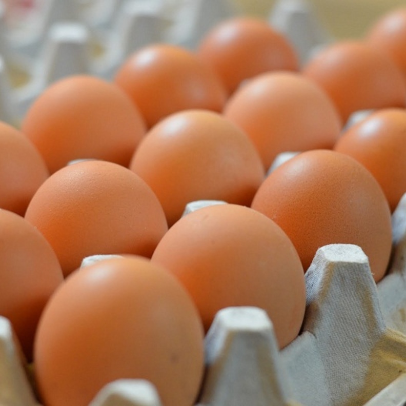 البيض غني بفيتامين د