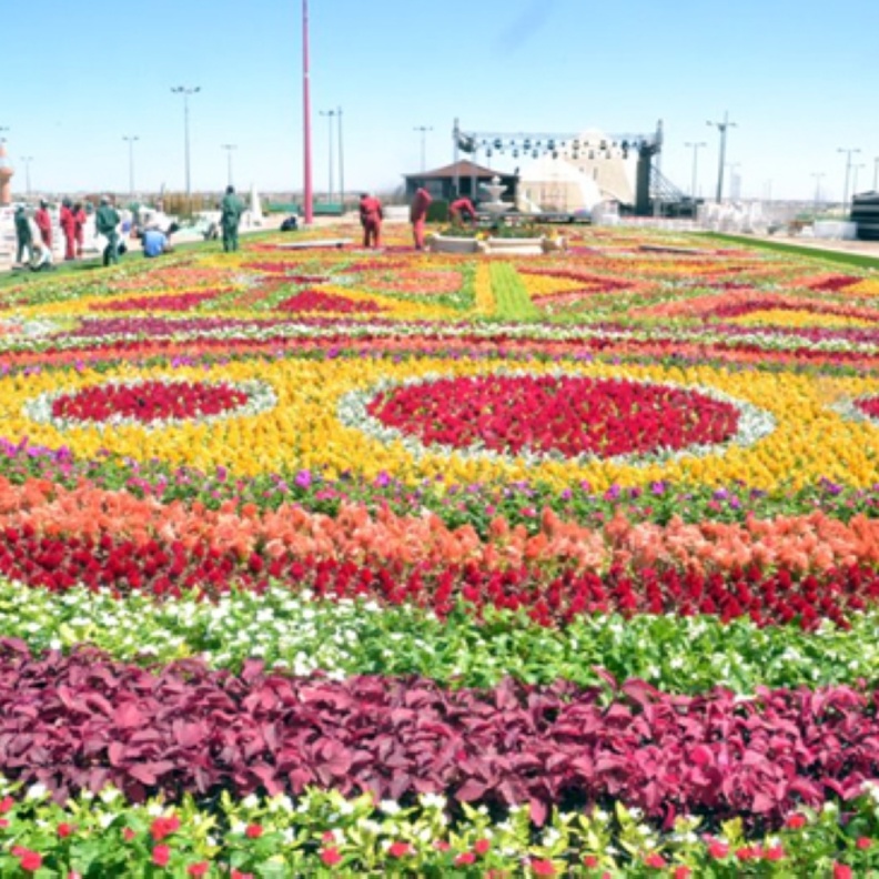 المسابقات الثلاث تندرج مهرجان الطائف للورود