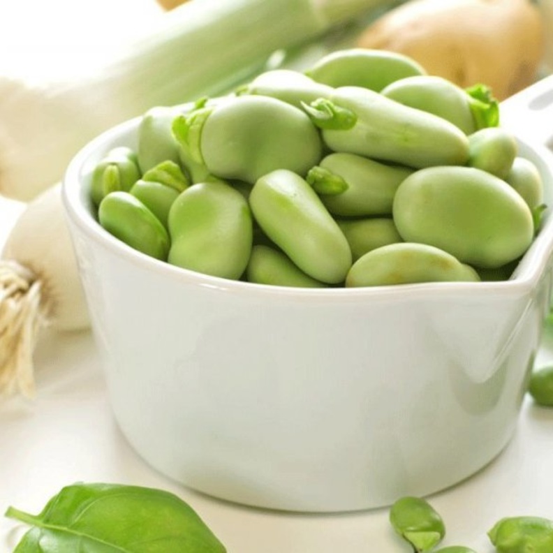 الفول الأخضر يعزز مناعة الجسم