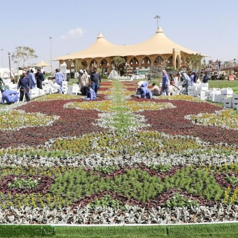 مهرجان "ورد الطائف 14"