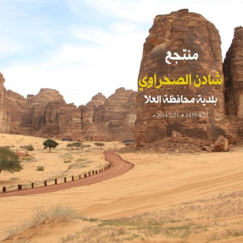 ولي العهد الأمير محمد بن سلمان يصل الجمهورية الفرنسية في زيارة رسمية.