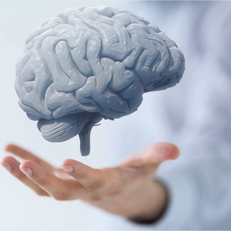 نمط الحياة الصحي يجدد خلايا المخ