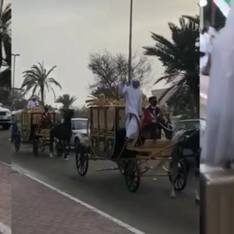 شارك في نقل الجهاز عربات الخيول والباصات