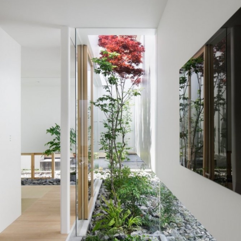 حديقة صغيرة في وسط المنزل