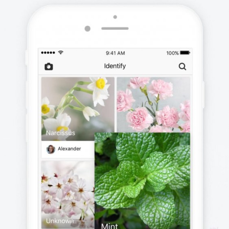 تطبيق Picturethis يمكنكم من معرفة انواع الاشجار و النباتات عن طريق تصويرها فقط بواسطة الكاميرا