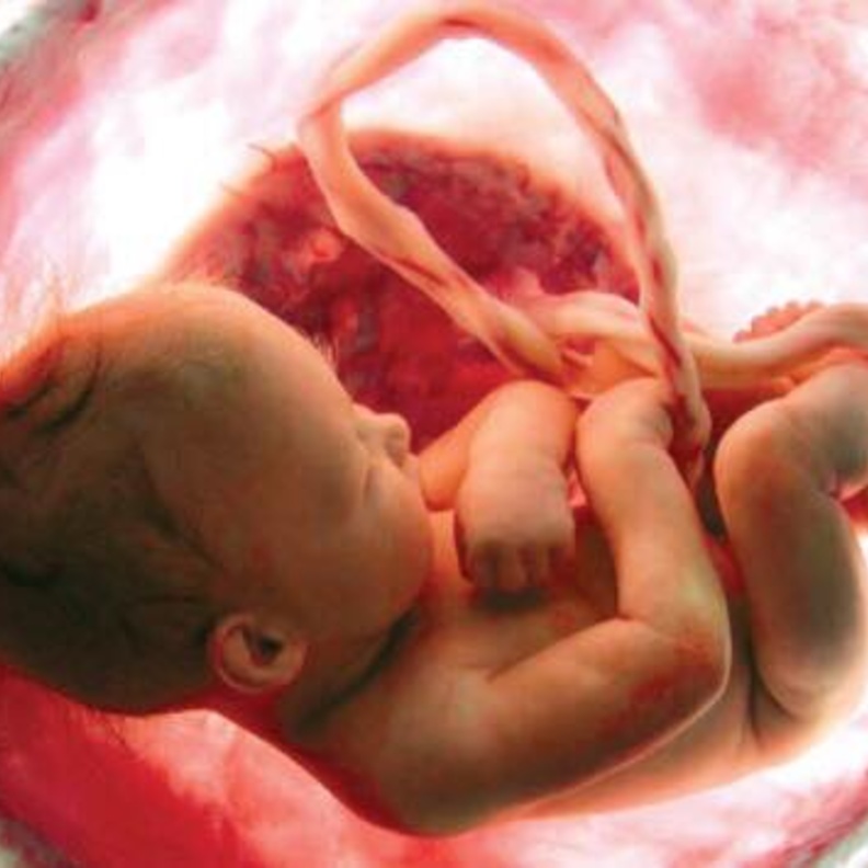 نصائح علمية لحماية الجنين من التشوهات الخلقية