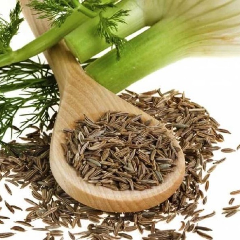  الشمر يحسن وظائف الكلى