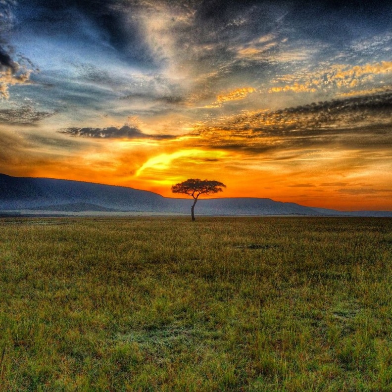 لعيش اسلوب الحياة البرية خلال شهر العسل في كينيا - Muthaiga Safari Camp مخيم موثايغا سفاري