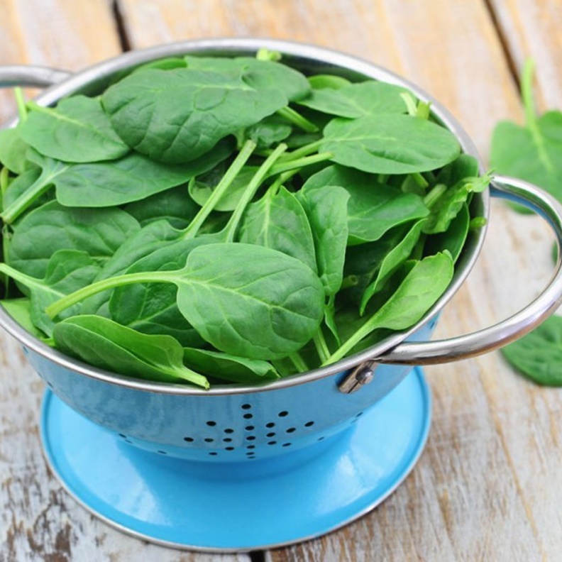 يساعد السبانخ على بناء العضلات بفضل محتواه العالي من الحديد