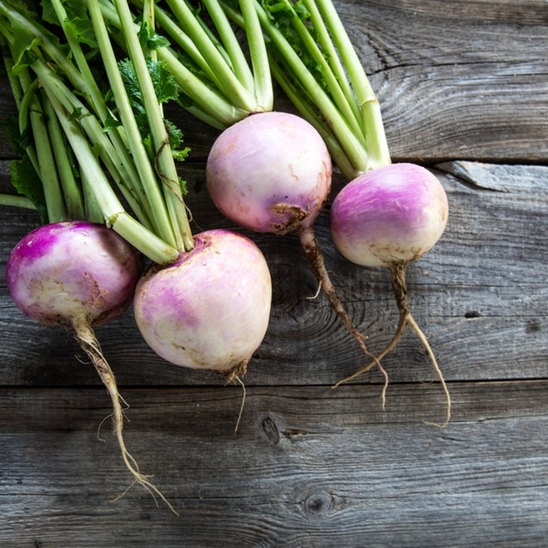 اللفت يحمي من السرطان ويعالج مشكلة السمنة