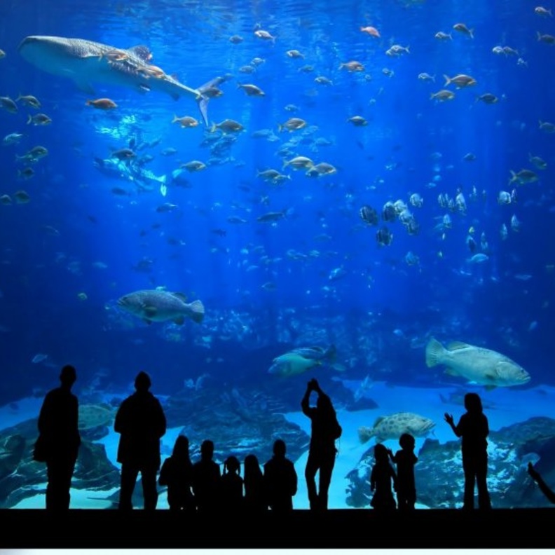 حديقة Polonezkoy Hayvanat Bahcesi 