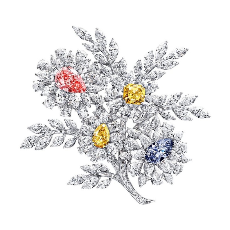 بروش من آنا هو Anna Hu