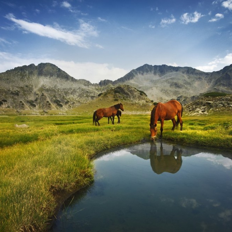 من مسرح بلوفديف الروماني.