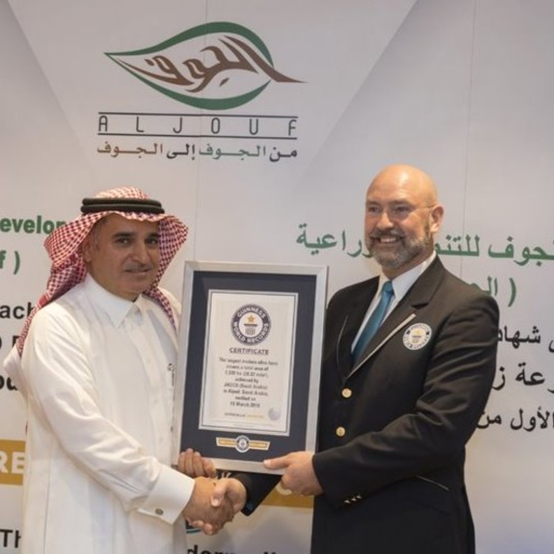 شركة سعودية تدخل غينيس كأكبر مزرعة زيتون في العالم