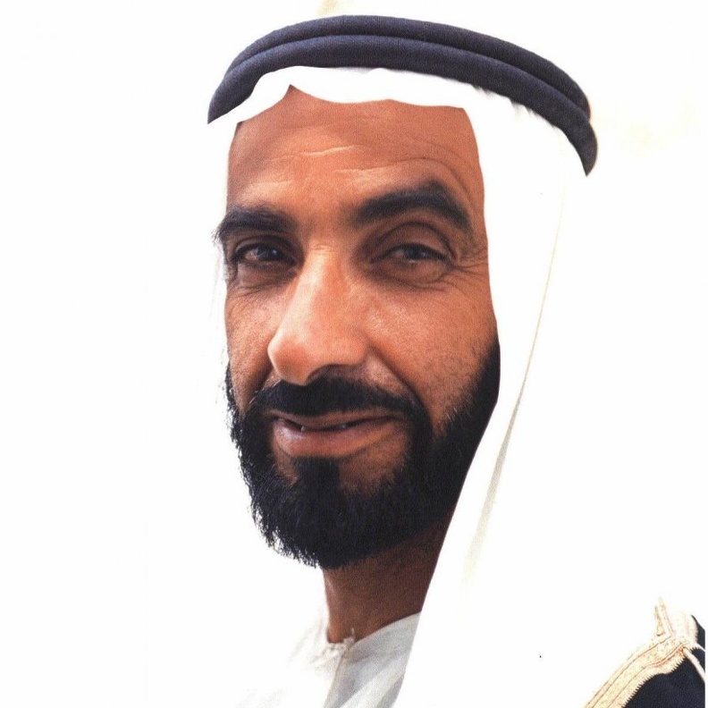 الشيخ زايد بن سلطان آل نهيان