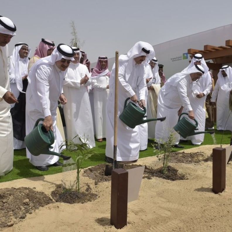 انطلاق مبادرة زراعة مليون شجرة في المنطقة الشرقية