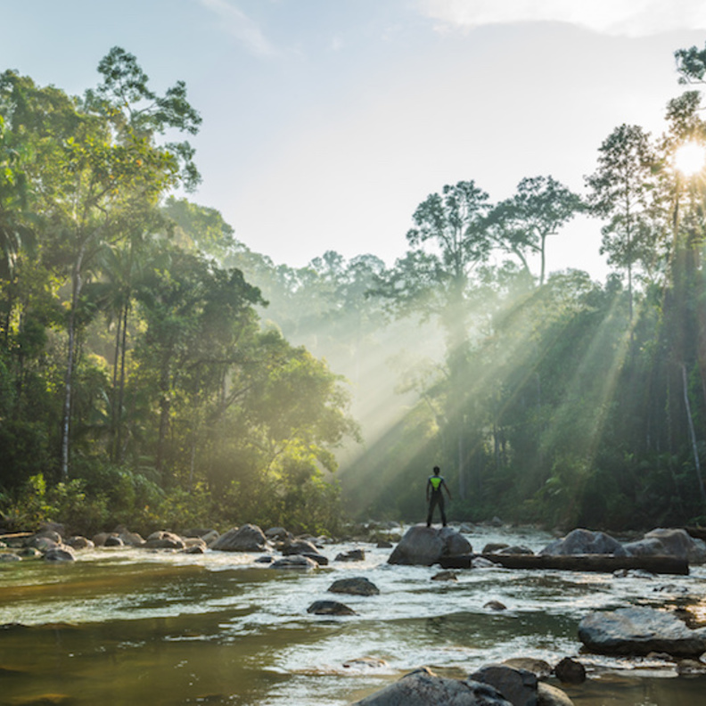  من حديقة باكو الوطنية