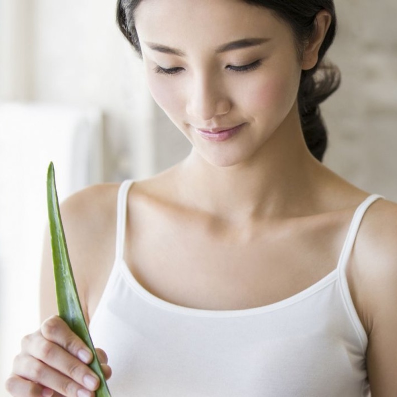 من أهم ما يقدمه الصبار أو الألوفيرا هو ترطيب البشرة