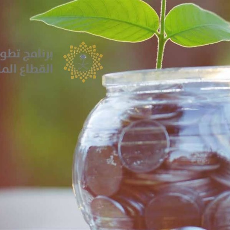 تقديم خطط ادخار للأفراد مدعومة من الحكومة