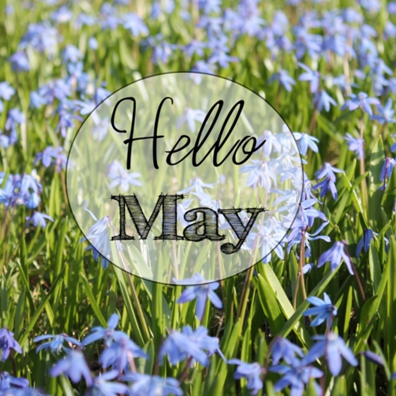 توقّعات الأبراج لشهر مايو 2018 حسب توقعات عالم الفلك الدكتور سمير طنب