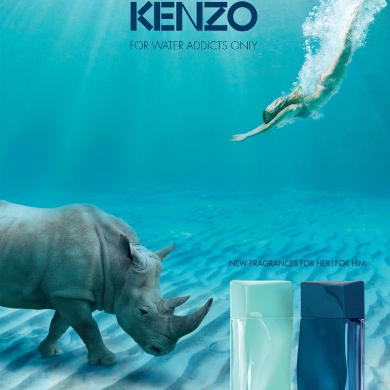 "كينزو أكوا"  لها