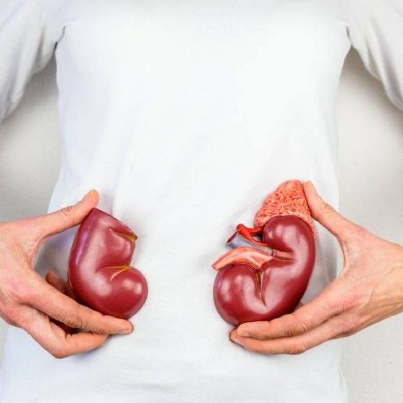 عملية زراعة الكلى من التقنيات الطبية الحديثة