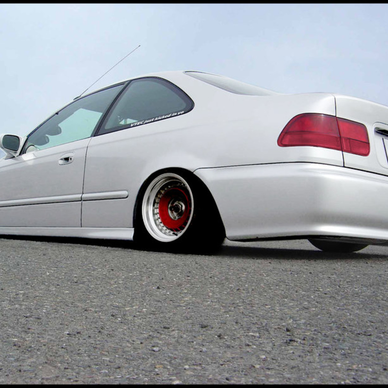 من غير القانوني ربط الكلب على سقف السيارة