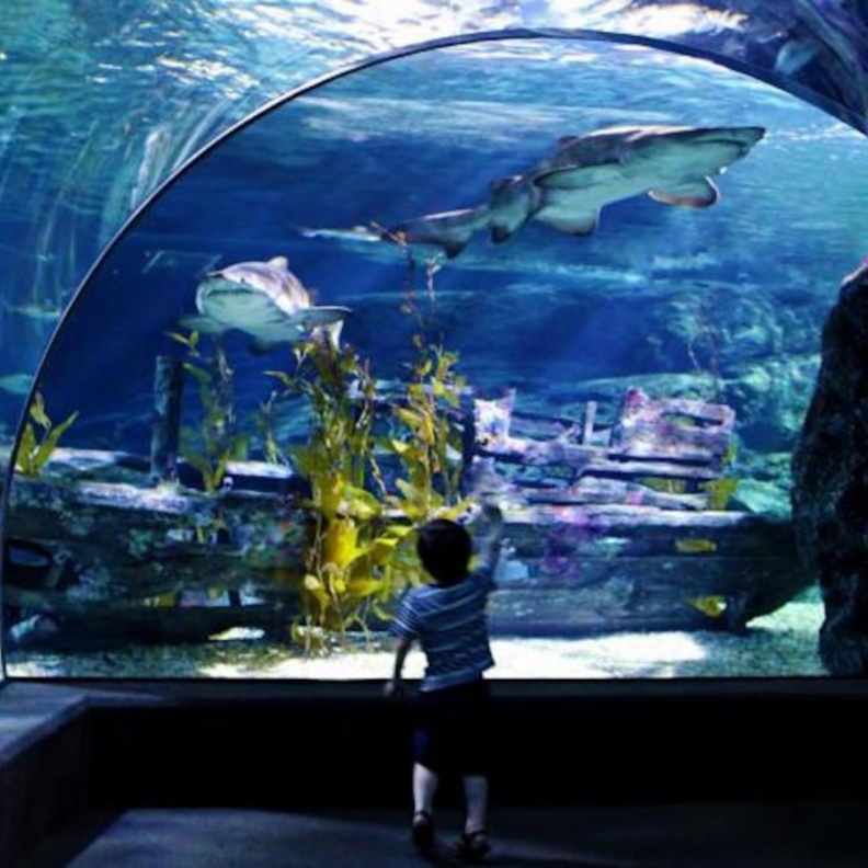 مركز تسوق The Commons