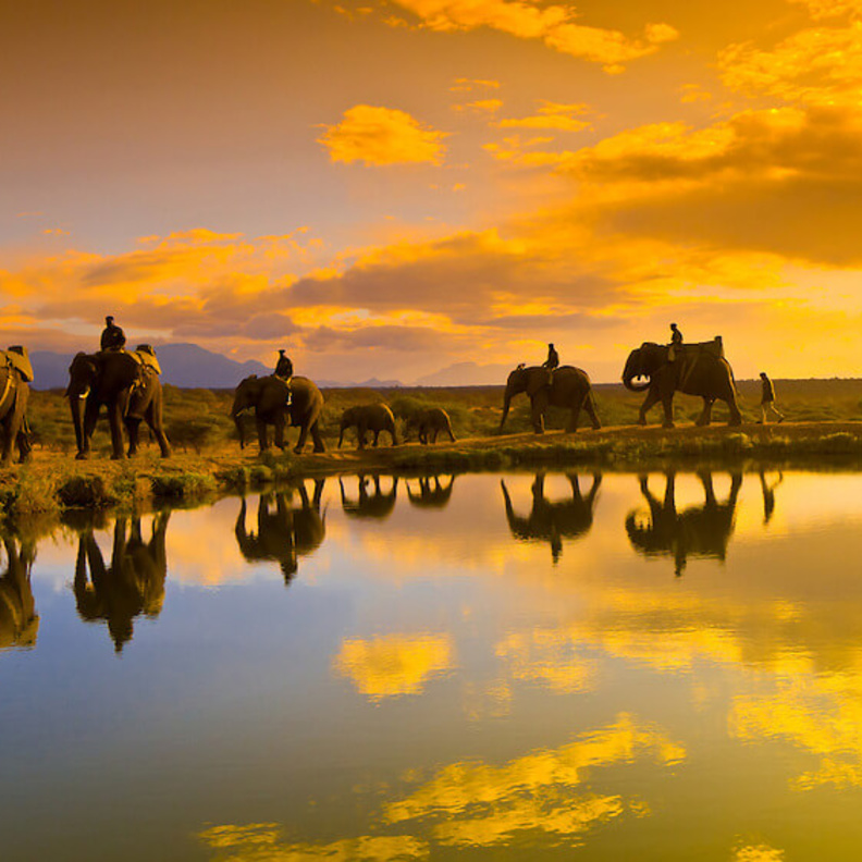 من دراكسنبرغ