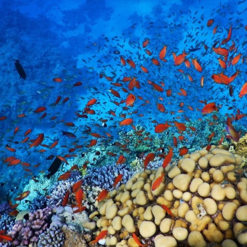 معبد فيلة في أسوان