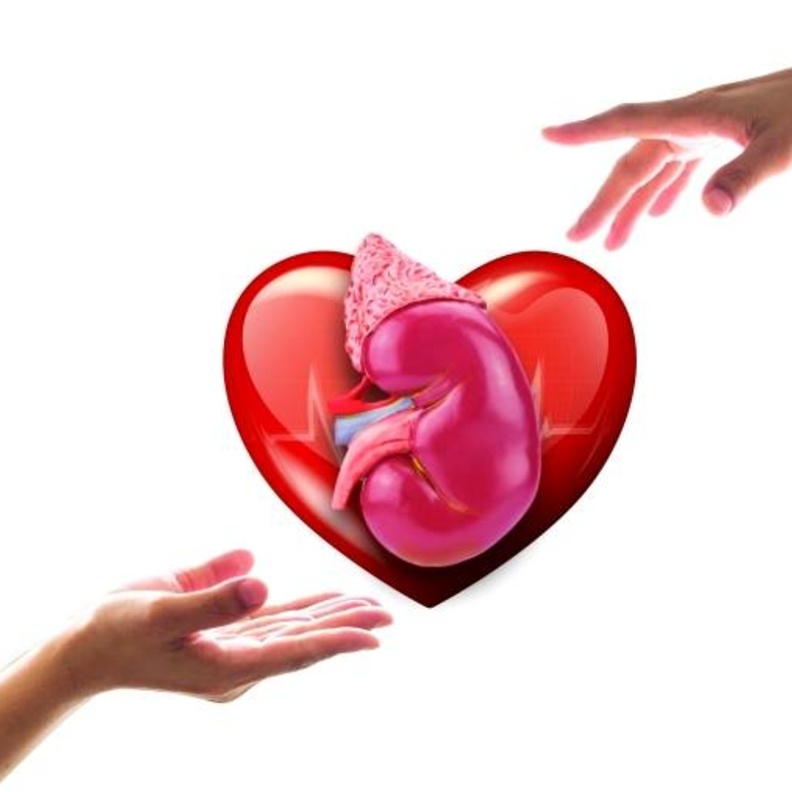 فتح باب التسجيل للتبرع بالأعضاء بعد الوفاة في الإمارات قريبا