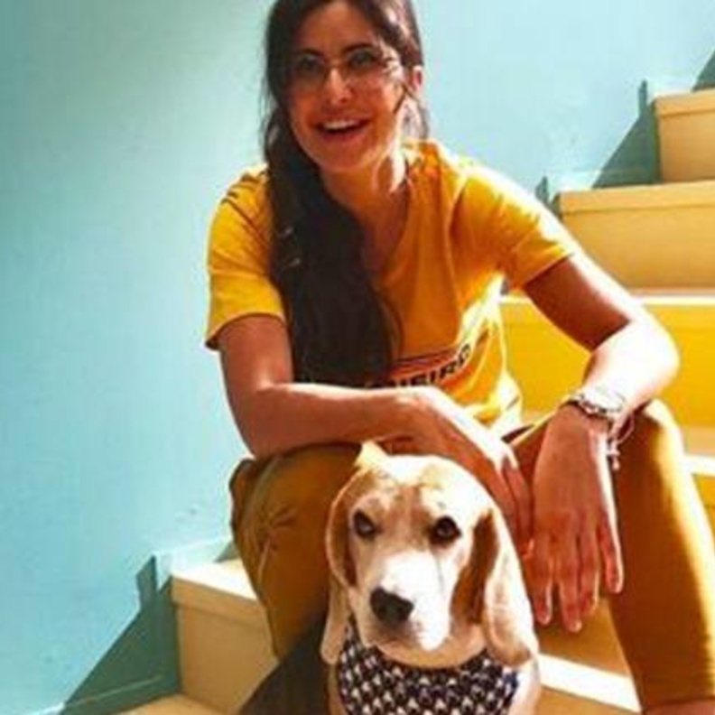  مشاركة طريفة لكاترينا كيف