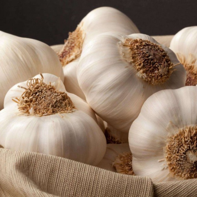 الثوم يقلل من خطر الإصابة بالسرطان