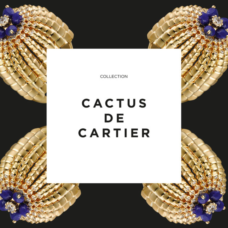 سوار ’كاكتوس دو كارتييه‘
