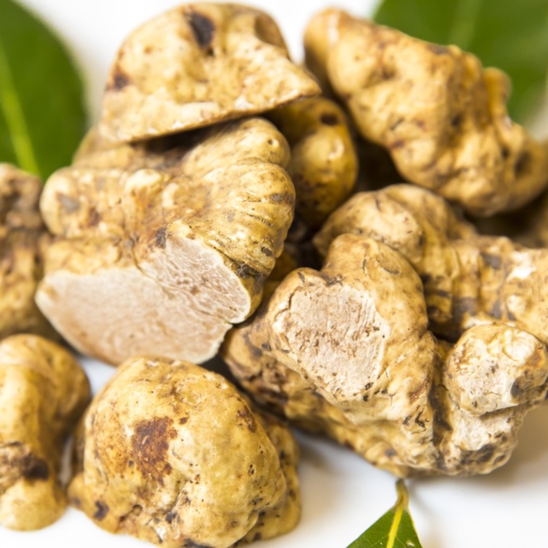 فوائد فطر الكمأة الصحية